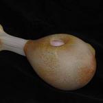 Chicken Leg Hand Pipe